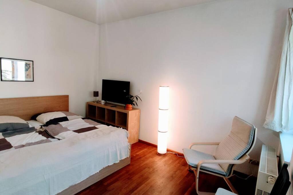 Modern Studio08 With Big Balcony In The Neustadt เดรสเดน ภายนอก รูปภาพ